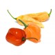 West Indian Original Hot Pepper Sauce 142ml