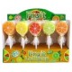 Fruit Lollipop 15g - ovocné lízátko