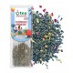 Tea Moments Assorted Tea Green 33,6g -kolekce zelených a bylinných čajů