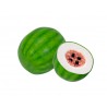Water Melon Bubble Gum 16g